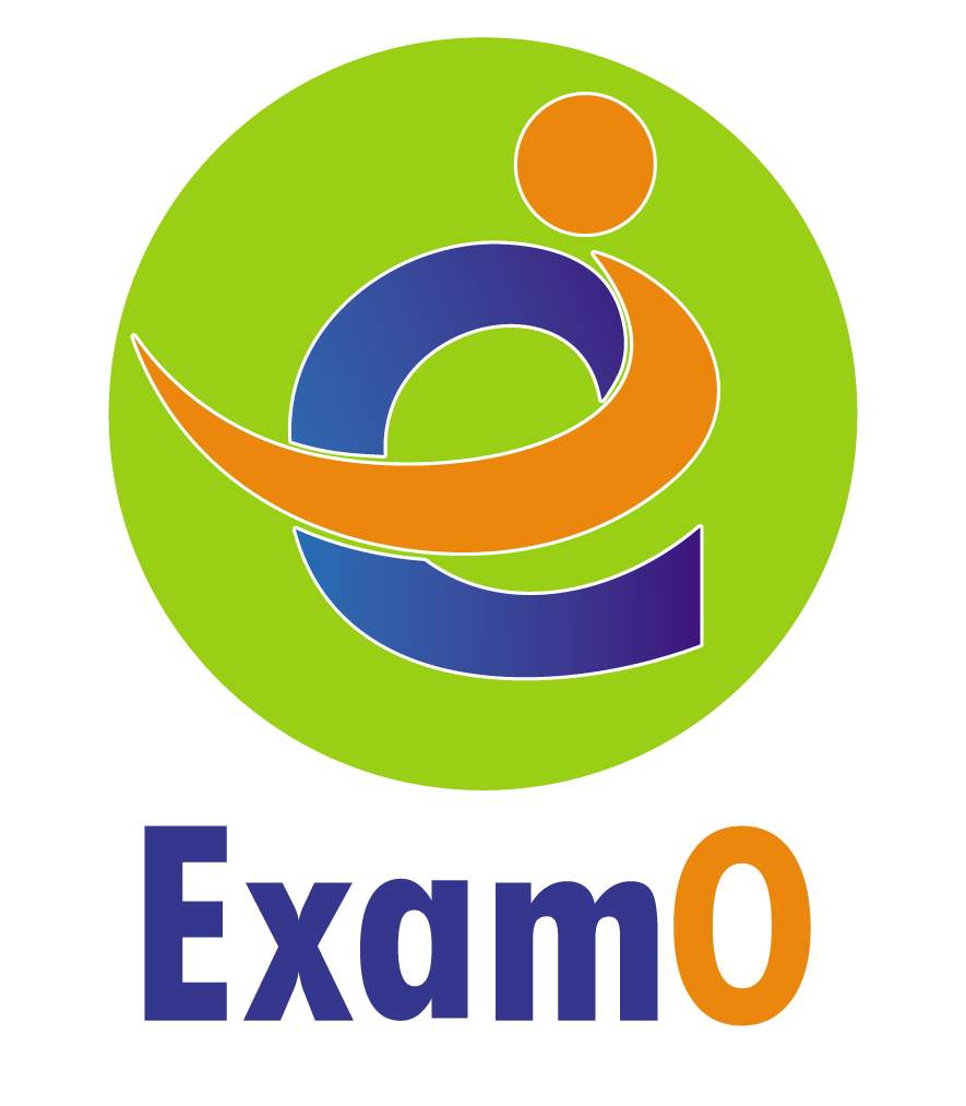 Examo Logo
